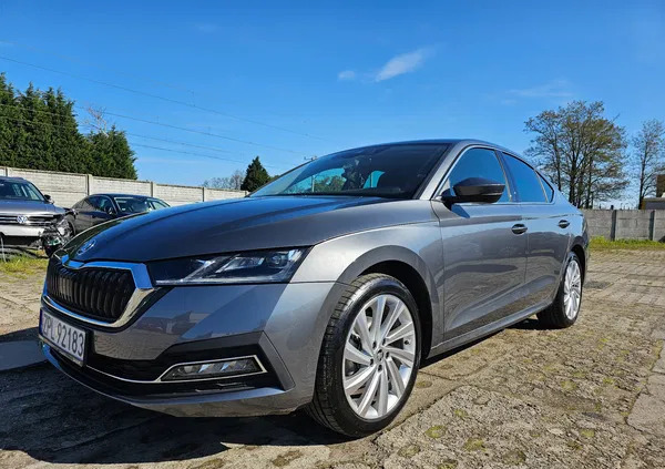 skoda Skoda Octavia cena 134999 przebieg: 7170, rok produkcji 2023 z Brwinów